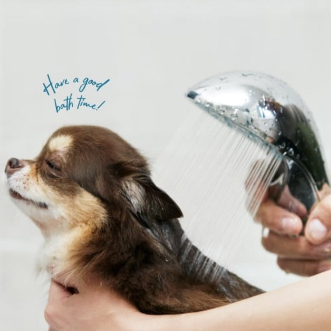 Bathe Pets with ReFa FINE BUBBLE S